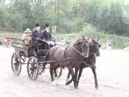 IMG_1182_web